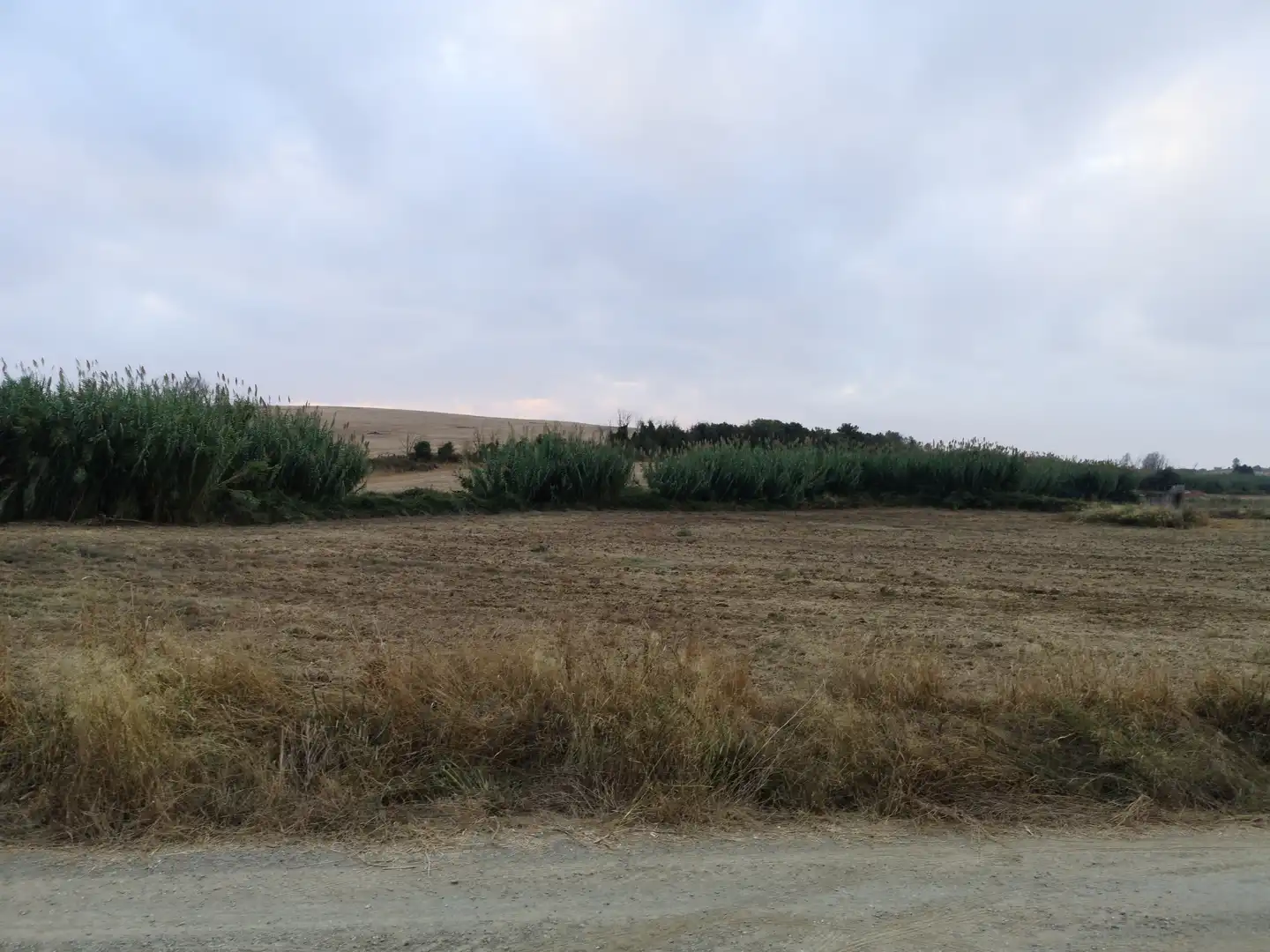 Terreni e lotti in vendita a Paraje Arrogil o Pedregal, imagen 6