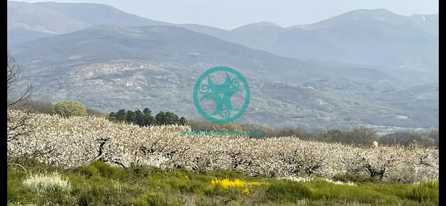 Casa o chalet en venta en Jaraíz de la Vera