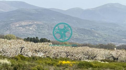 Foto 3 de Casa o chalet en venta en Jaraíz de la Vera, Cáceres