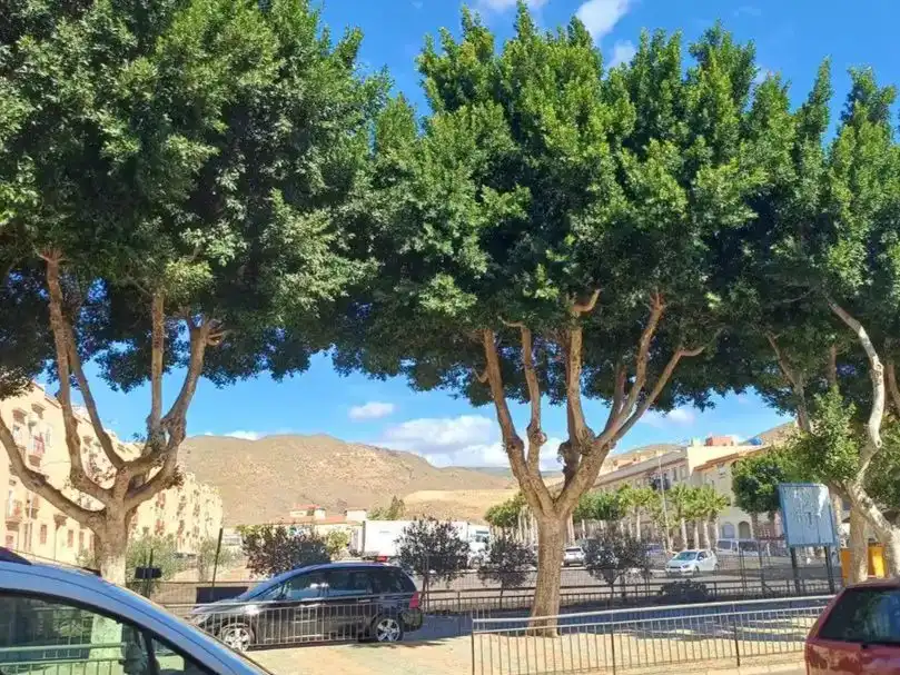 Vista exterior de Piso en venta en La Gangosa