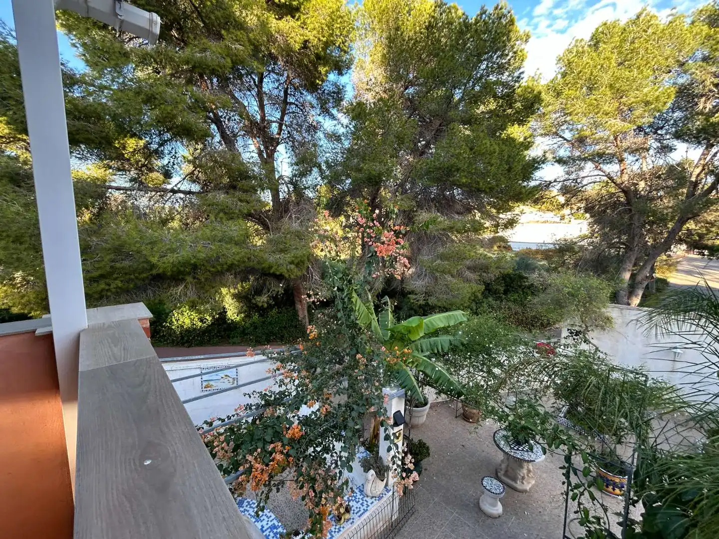 Jardín de Casa o chalet en venta en Torrevieja con Aire acondicionado, Trastero y Piscina