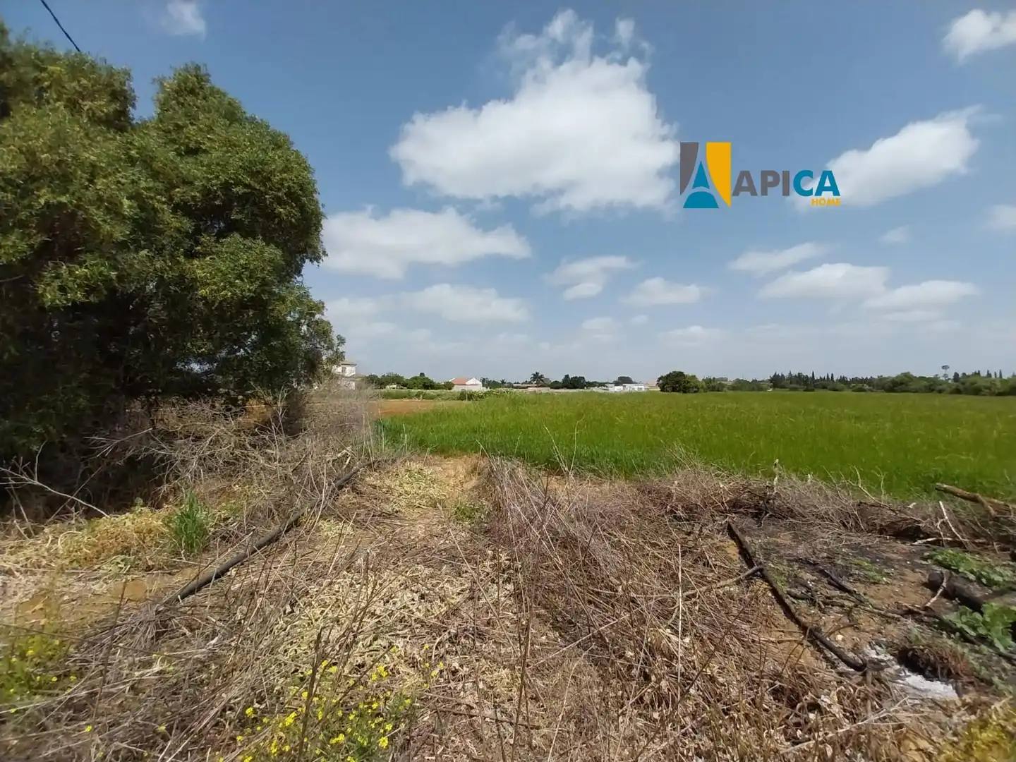 Casa o chalet en venta en Conil de la Frontera