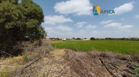 Foto 2 de Casa o chalet en venta en Barrio Nuevo, Conil de la Frontera