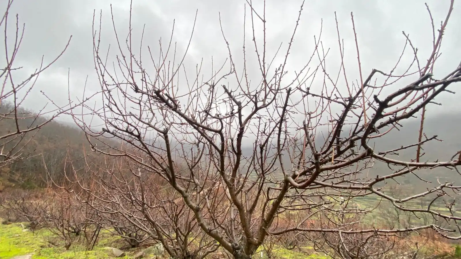 Terreni e lotti in vendita a Arroyomolinos de la Vera, imagen 5