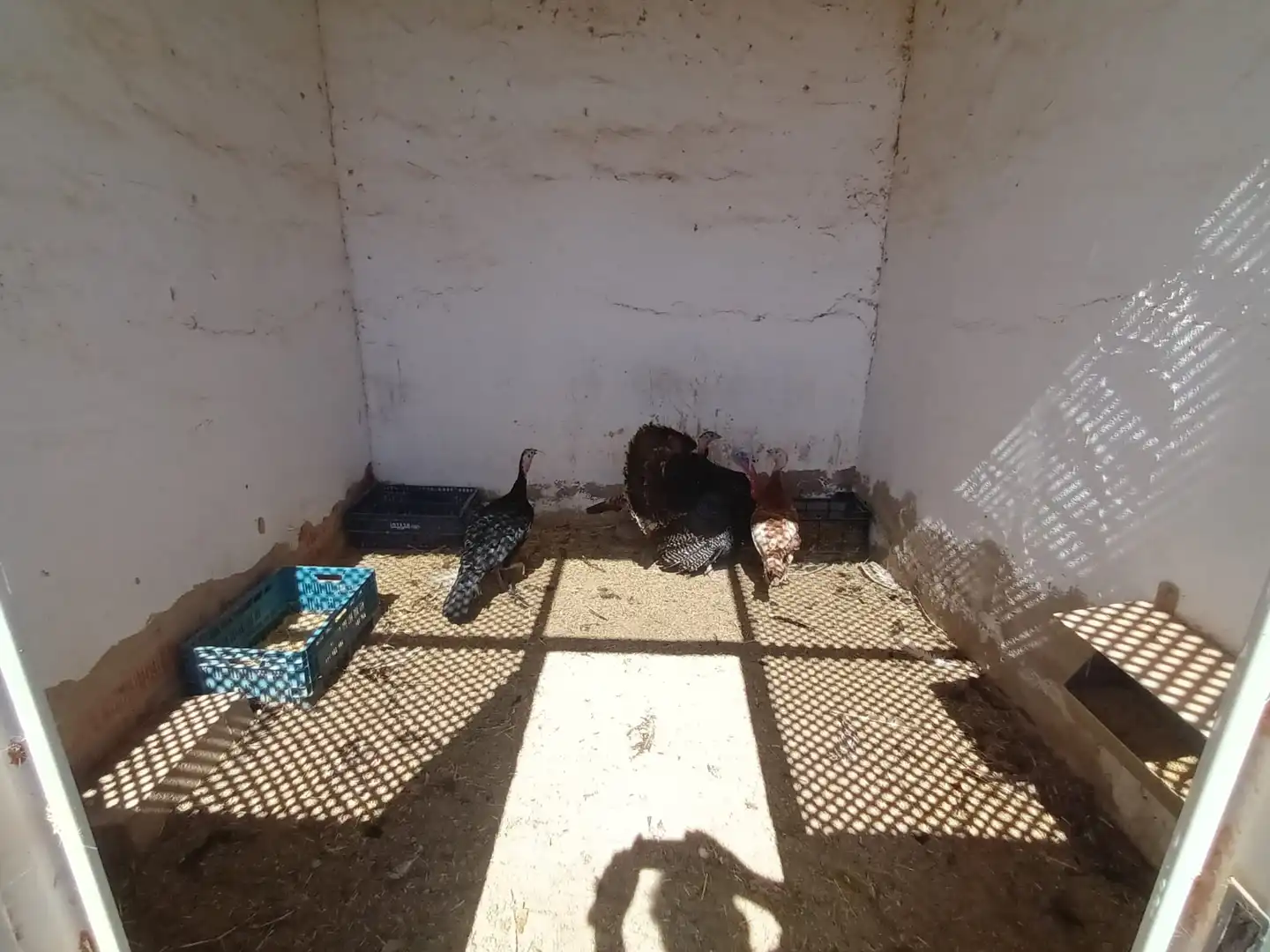 Terreno rustico in vendita a Pedanías Oeste, imagen 33