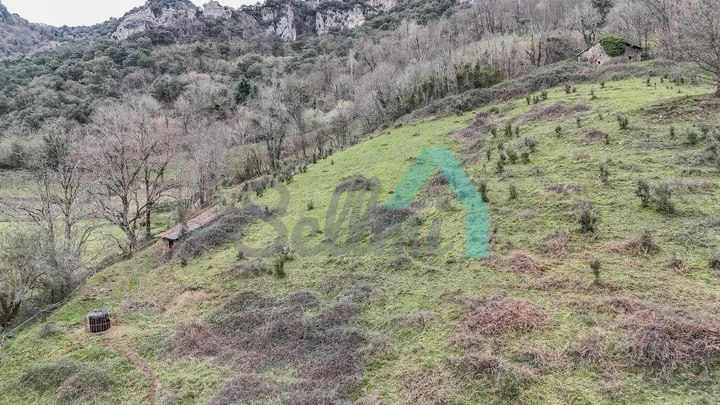Finca rústica en venta en Proaza con Jardín privado