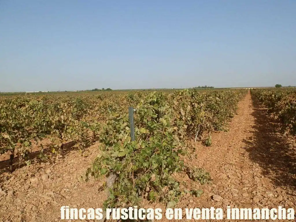 Terrenys i solars en venda a Almagro, imagen 13