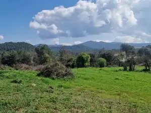 Country homes for sale in Santa Maria d'Oló
