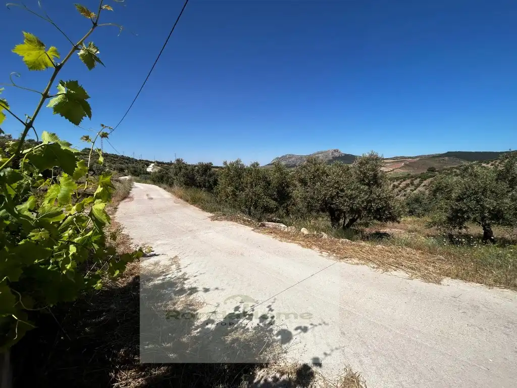 Finca rústica en venta en Partidas Norte