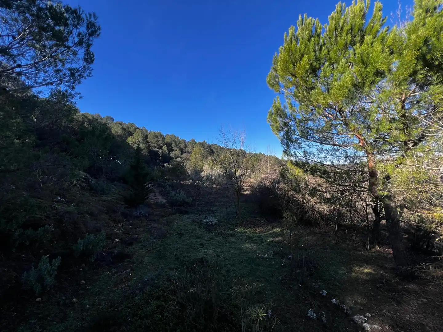 Finca rústica en venta en Bocairent con Jardín privado, Terraza y Trastero