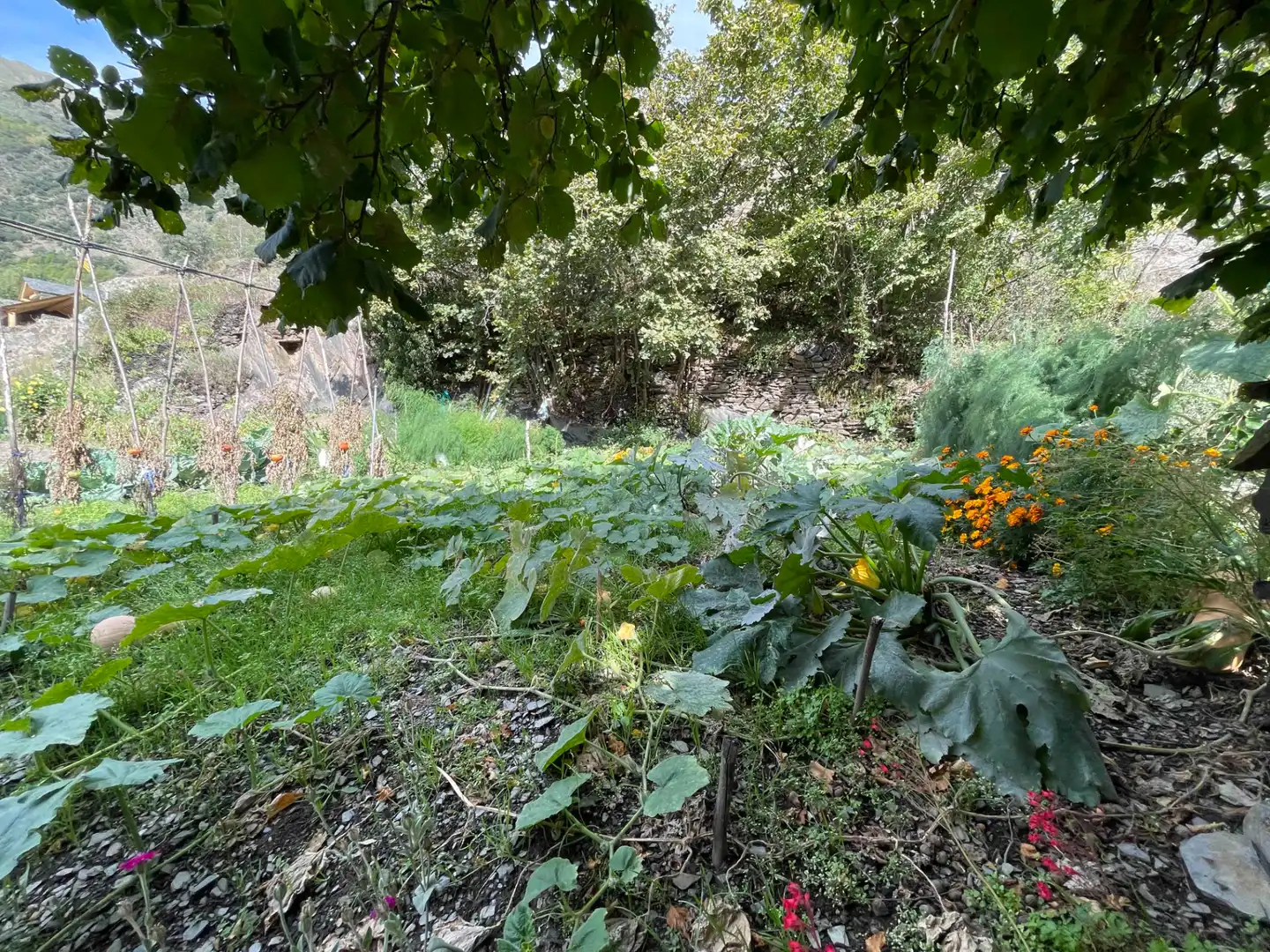 Maison rustique avec terrasse à vendre à Carrer Unica-Lladrós 23, imagen 62