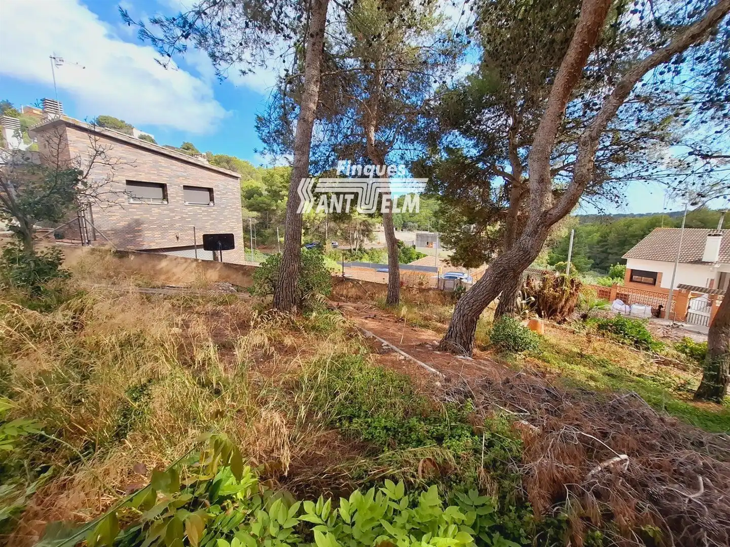 Detached house with pool for sale in VIOLETA, imagen 13