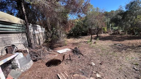 Foto 3 de Terreno en venta en Puig Moltó - Can Macià, Sant Pere de Ribes