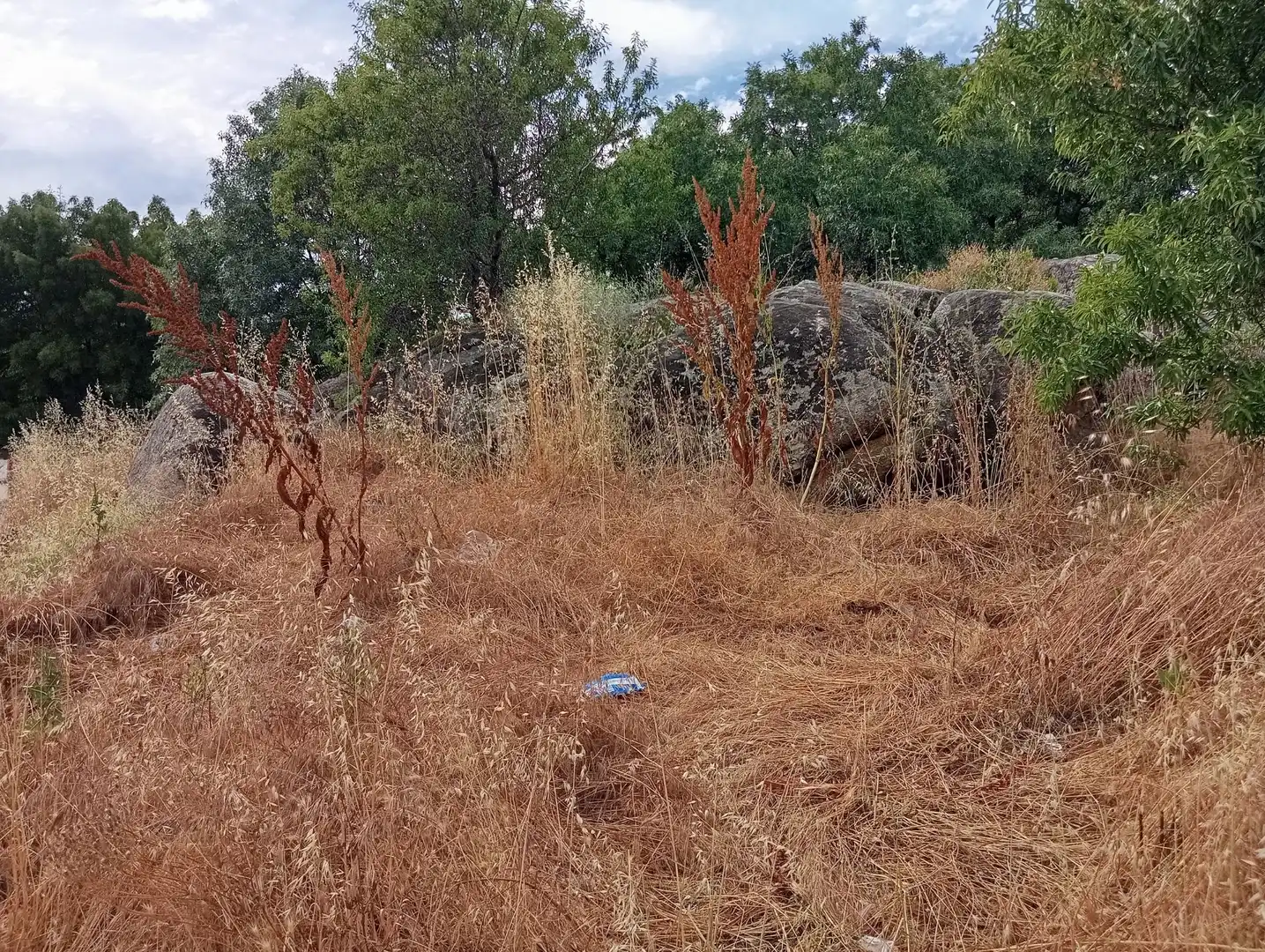 Residencial en venta en Zarzalejo