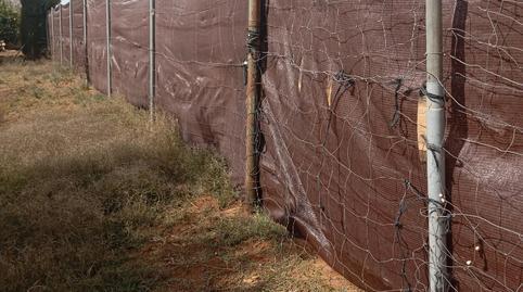 Photo 5 of Land for rent in N/a, -1, Pedanías Norte, Utrera