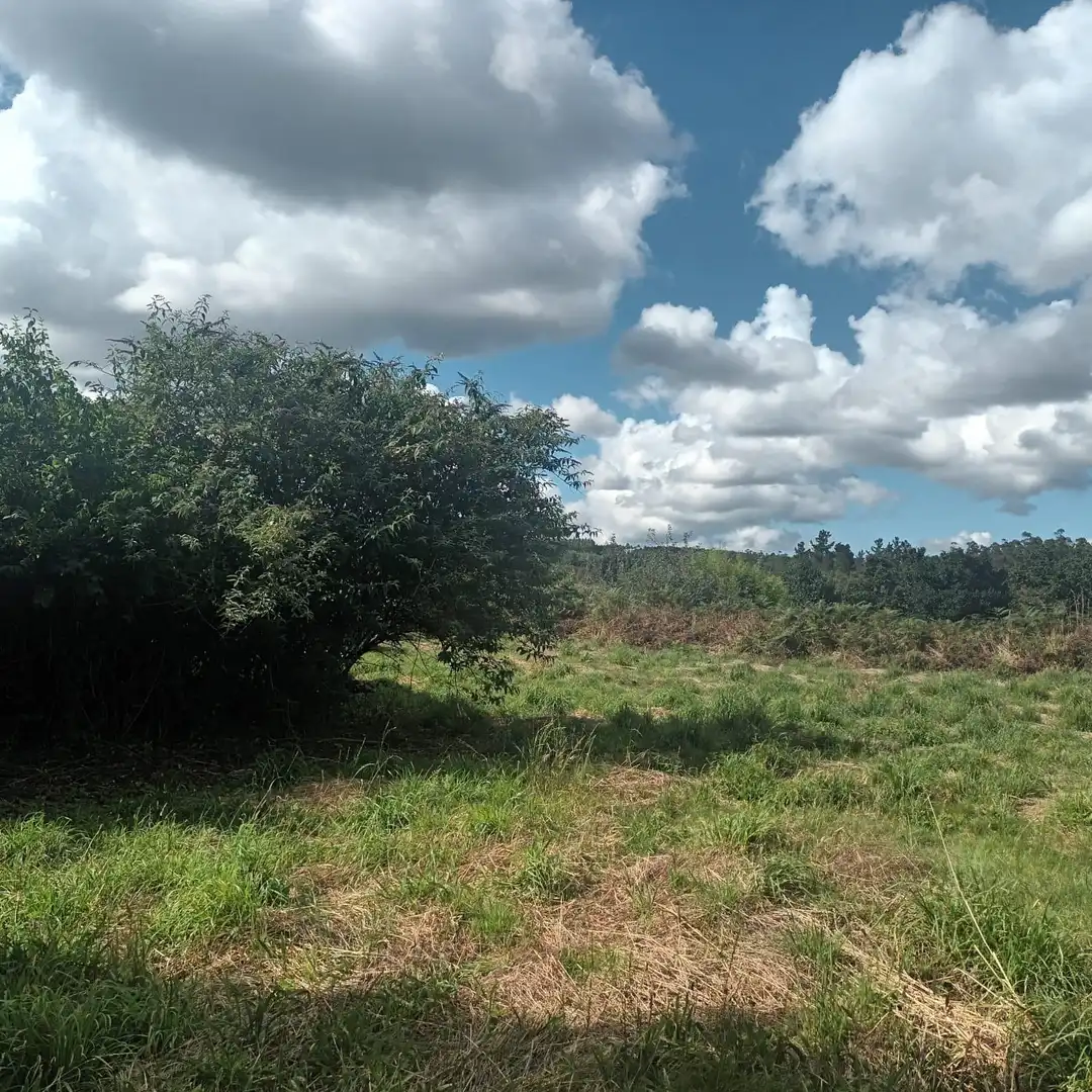 Finca rústica en venta en Santa Comba con Jardín privado