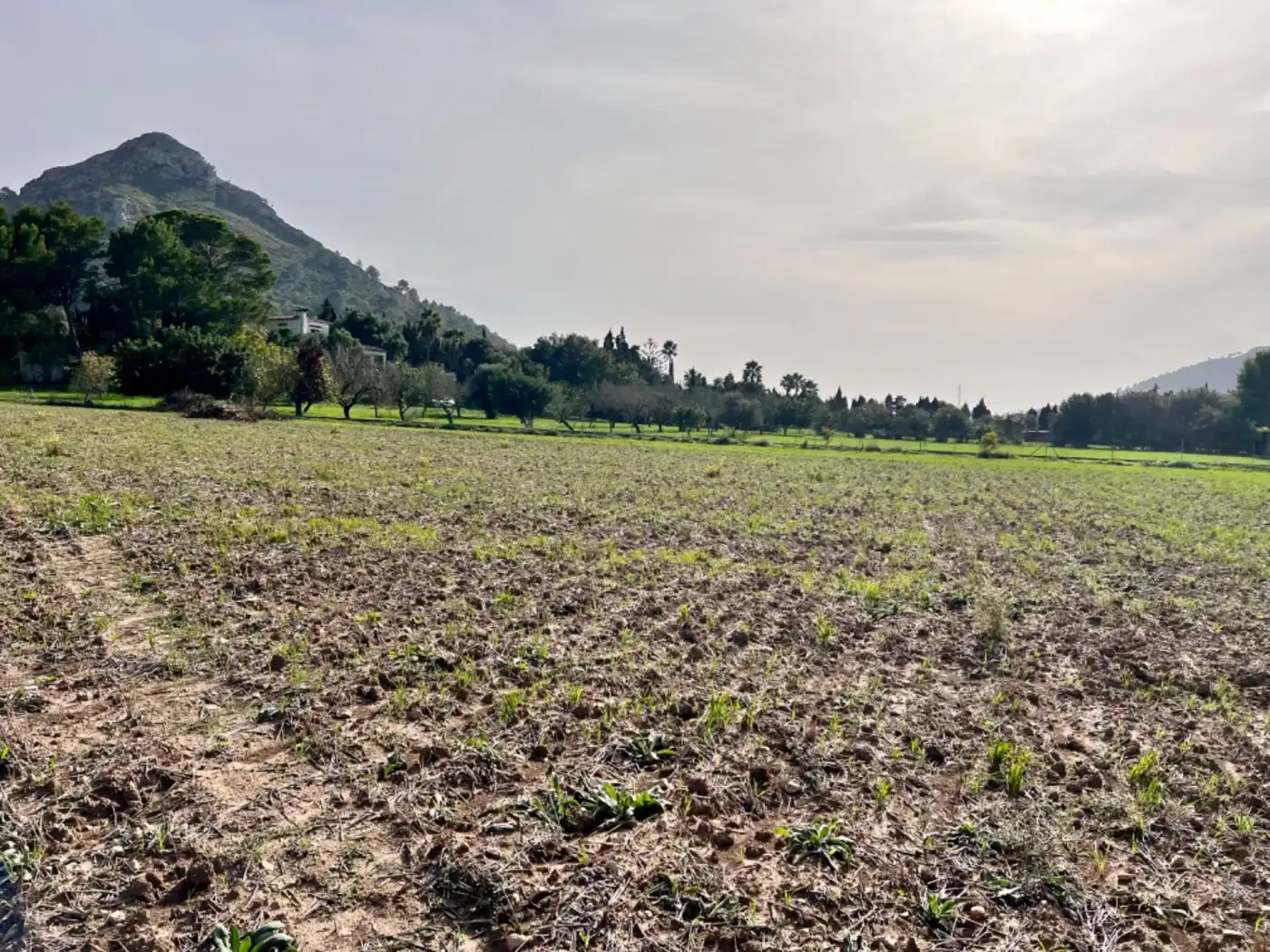 Casa rústica en venda a Ciutat d'Alcúdia, imagen 10