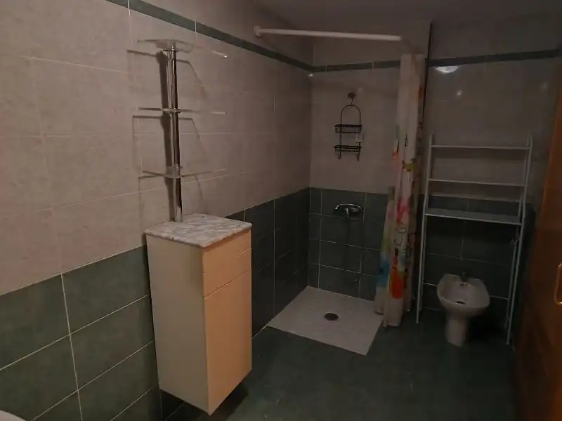 Pis amb piscina de lloguer a calle el puig 12, imagen 12
