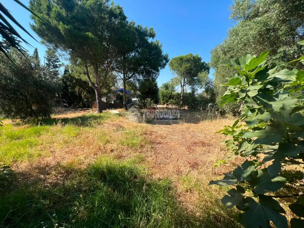 Rural land for sale in Roche