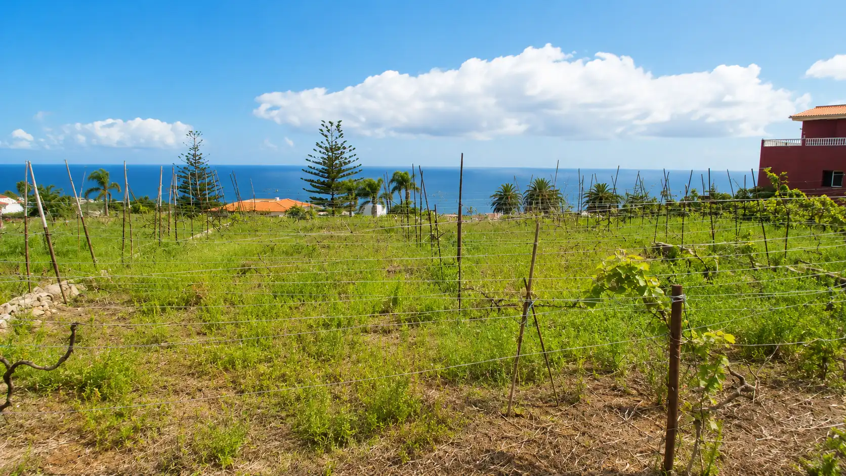 Finca rústica en venda en Santa Úrsula