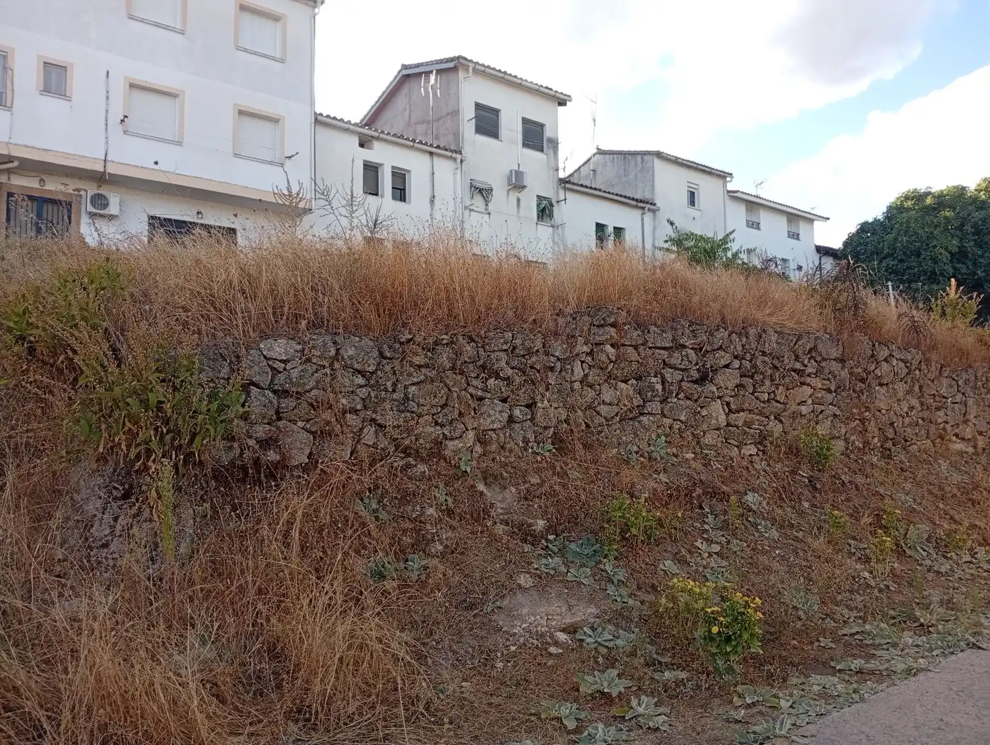 Terreni e lotti in vendita a Villanueva de la Vera, imagen 7