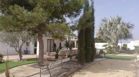 Foto 4 de Casa o chalet de alquiler en San Miguel de Salinas, Alicante