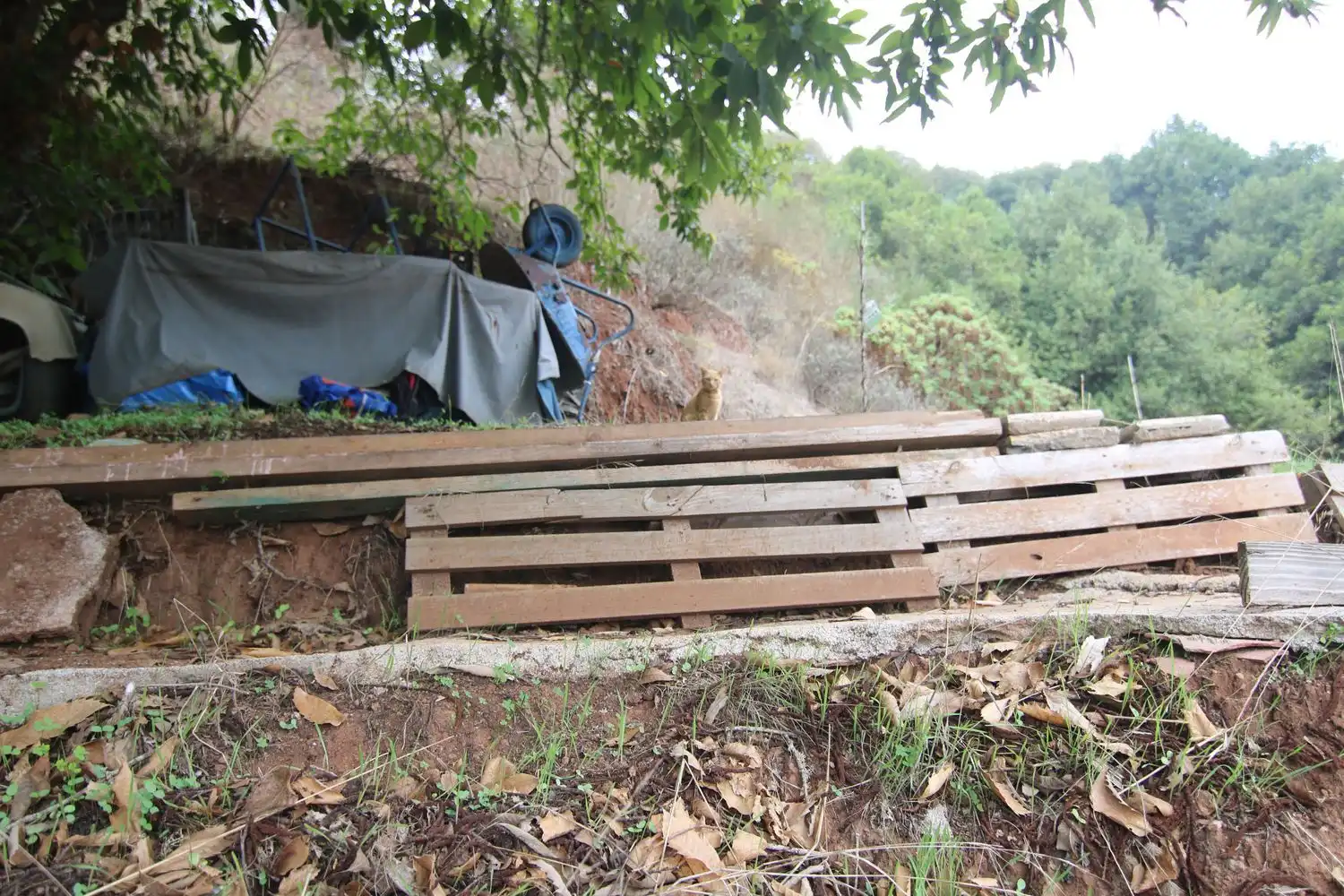 Terrassa de Finca rústica en venda en Valleseco