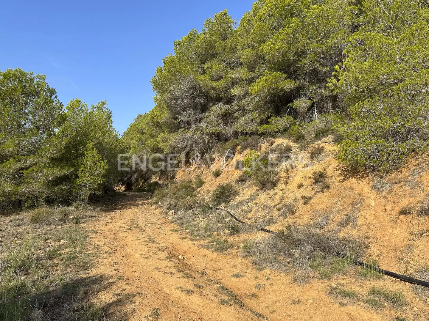 Residential land for sale in Torrelles de Foix, imagen 28