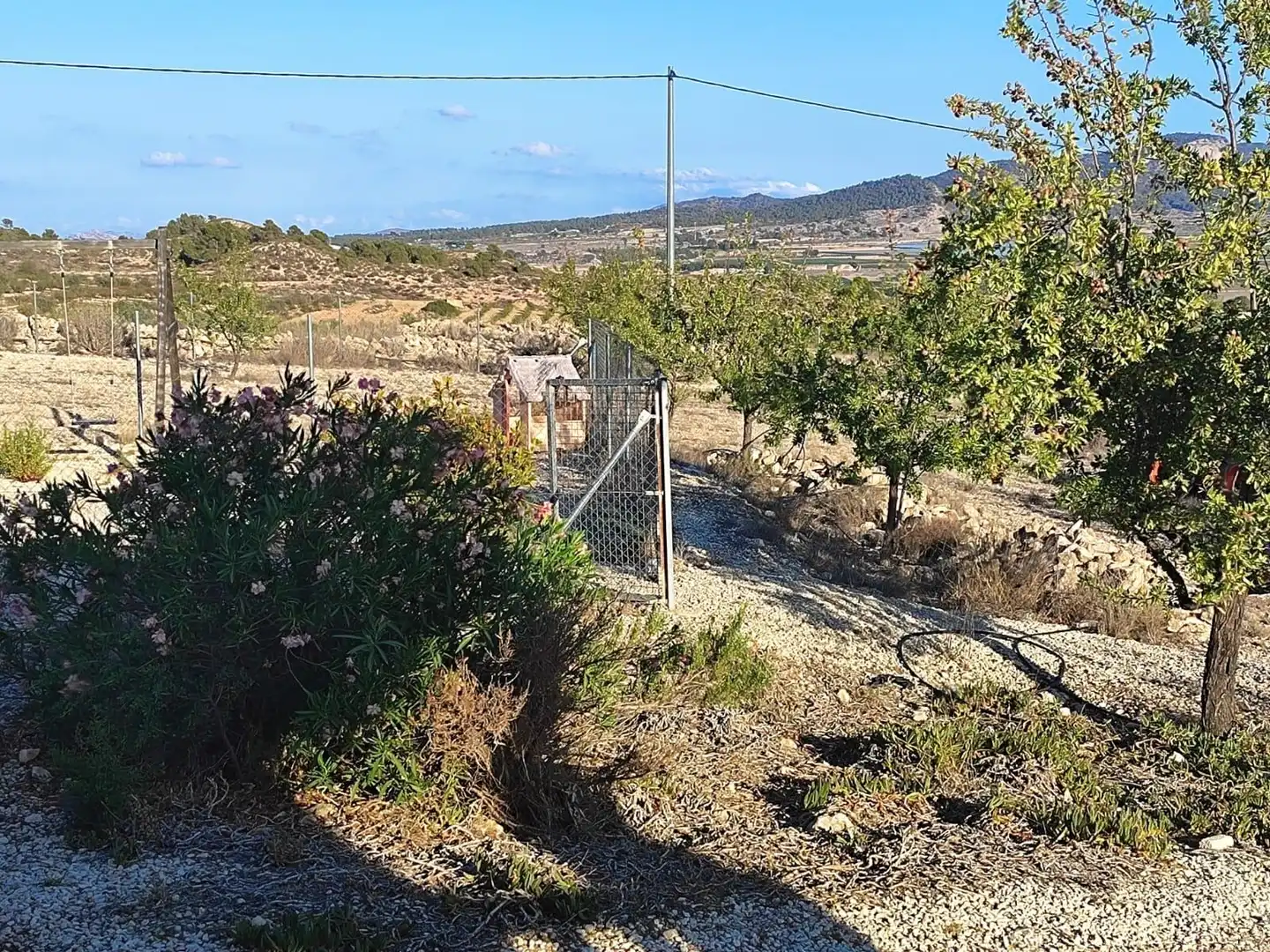 Villa à vendre à Monóvar  / Monòver, imagen 6