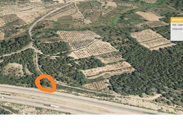 Terreno rustico in vendita a Pavías