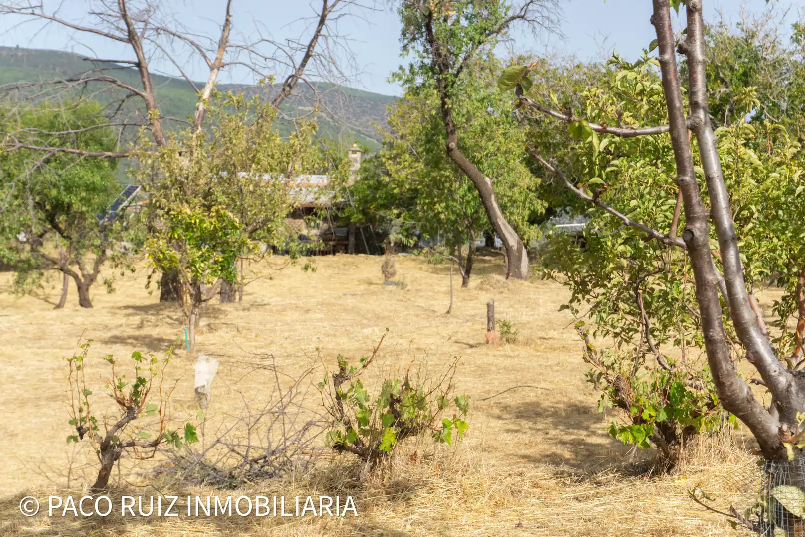 Landhaus mit Garten zum Verkauf in Abrucena, imagen 36