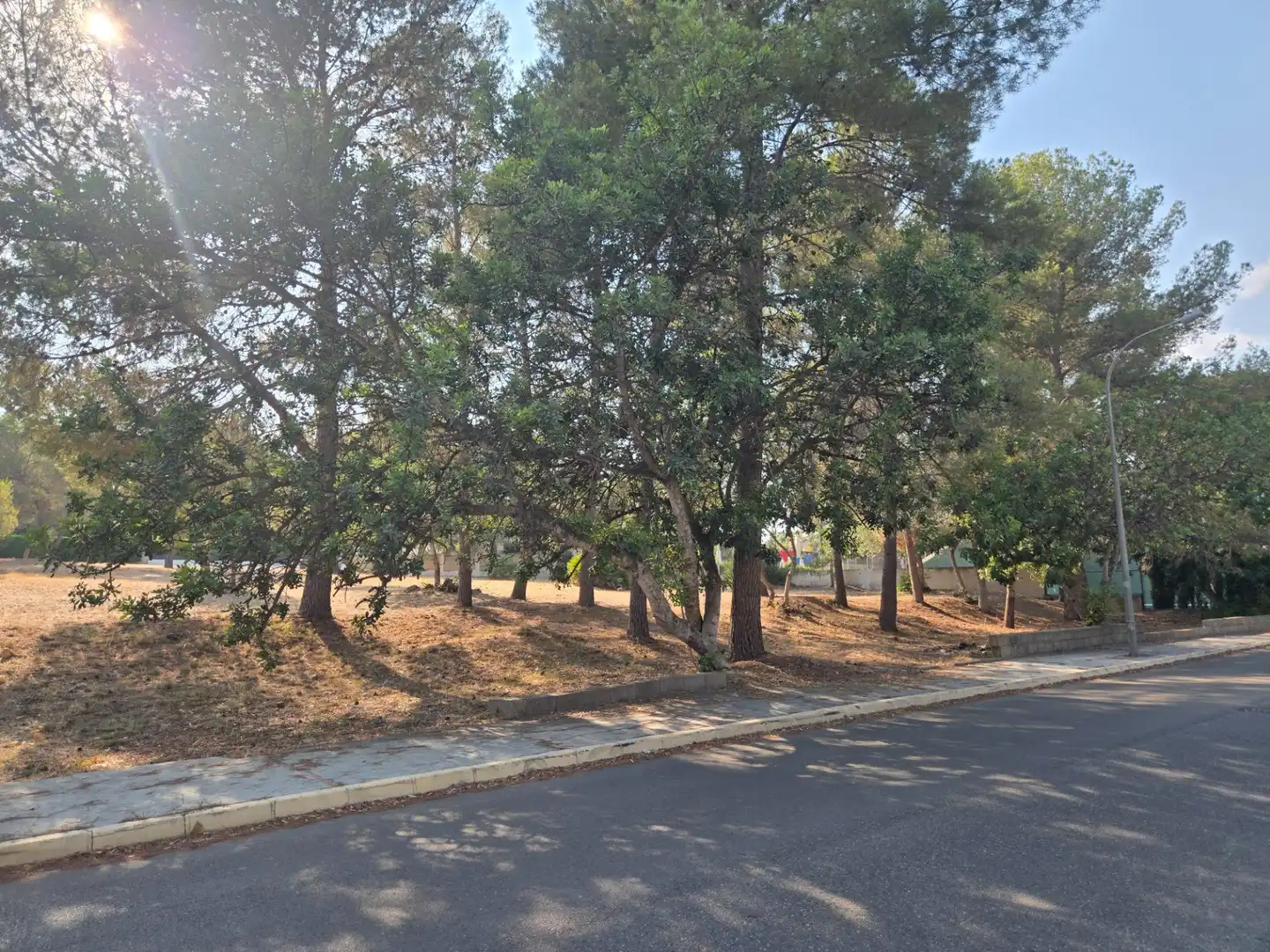 Terreny residencial en venda a La Cañada, imagen 3