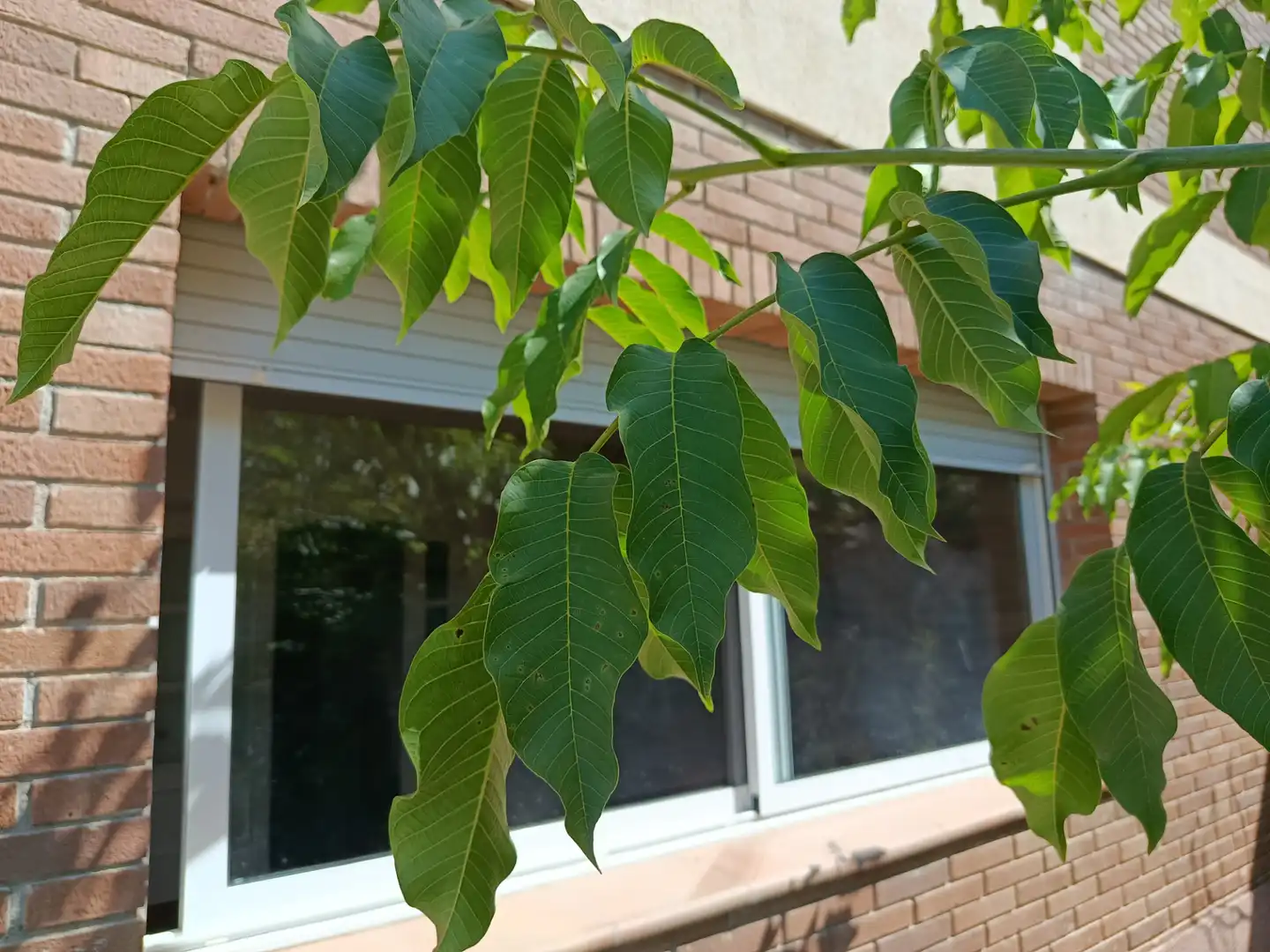 Maison avec terrasse à vendre à Cànoves I Samalús, imagen 19
