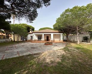 Garden of House or chalet for sale in Chiclana de la Frontera  with Private garden and Storage room