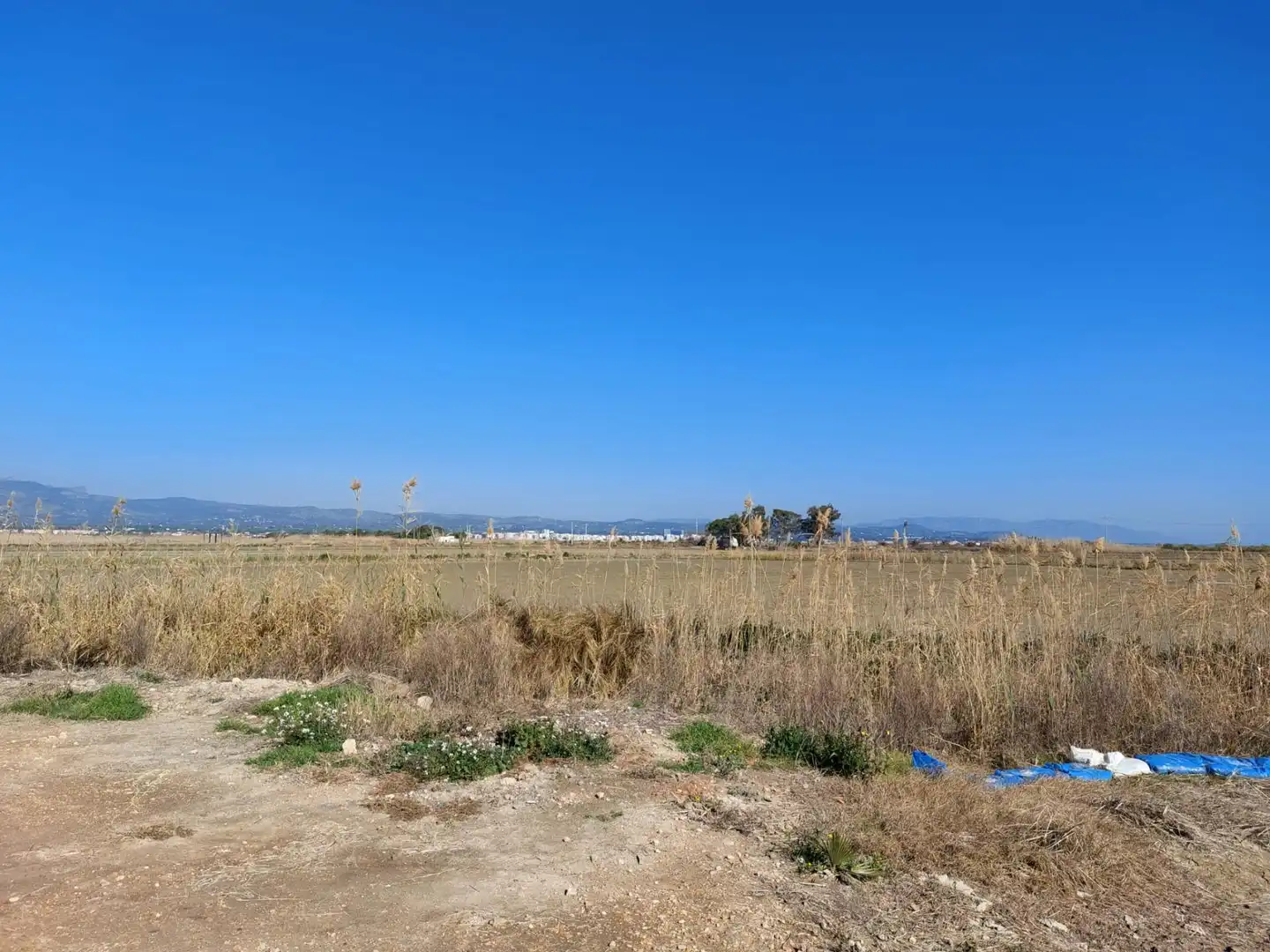 Finca rústica en venta en L'Ampolla