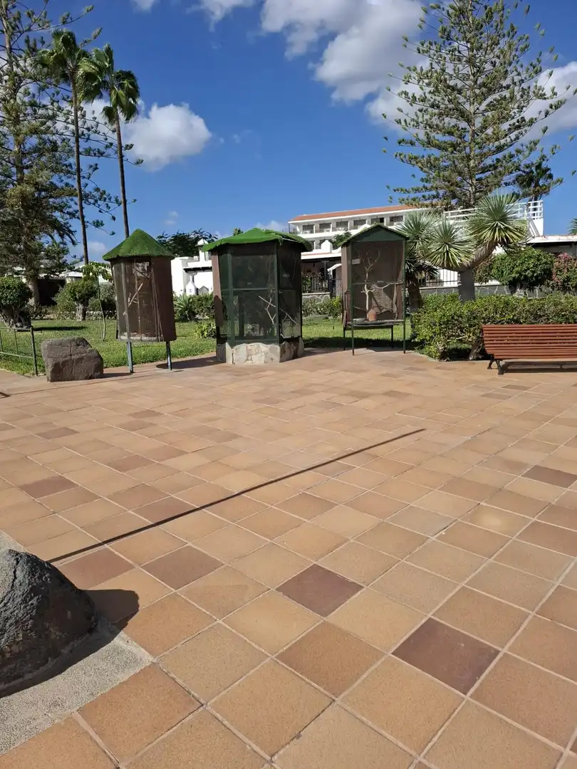 Terrassa de Casa o xalet de lloguer en San Bartolomé de Tirajana amb Aire condicionat, Terrassa i Moblat