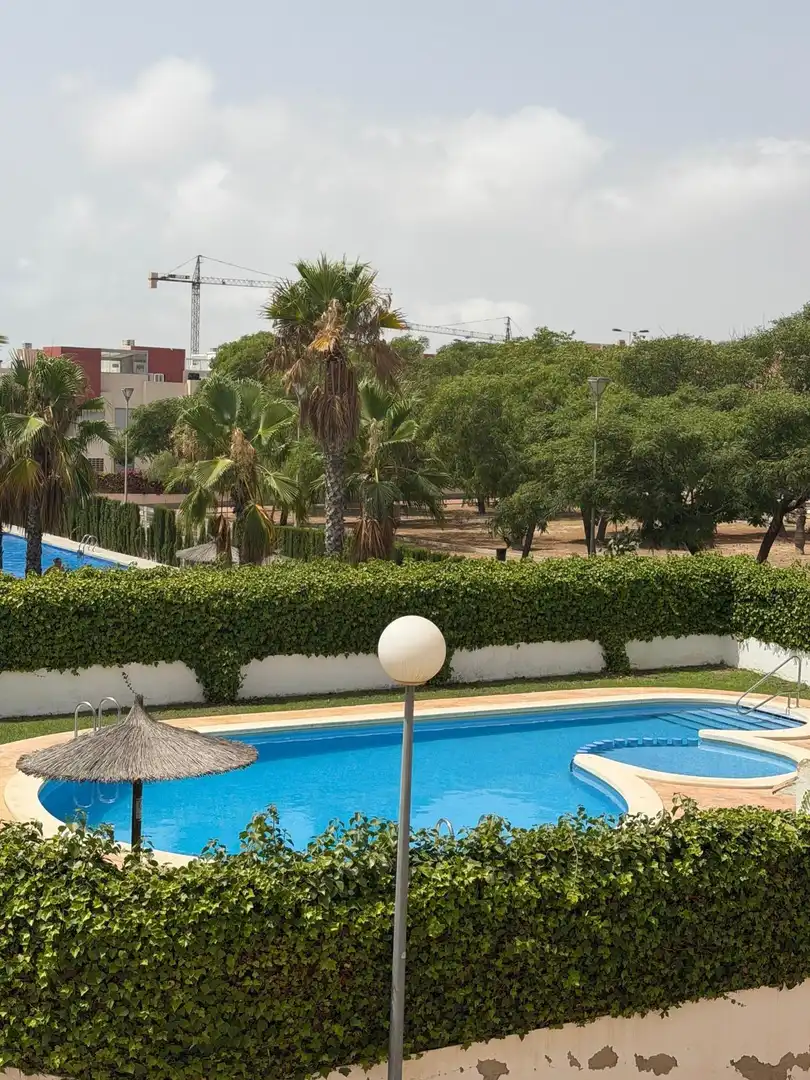 Piscina de Casa o xalet en venda en Torrevieja amb Piscina comunitària