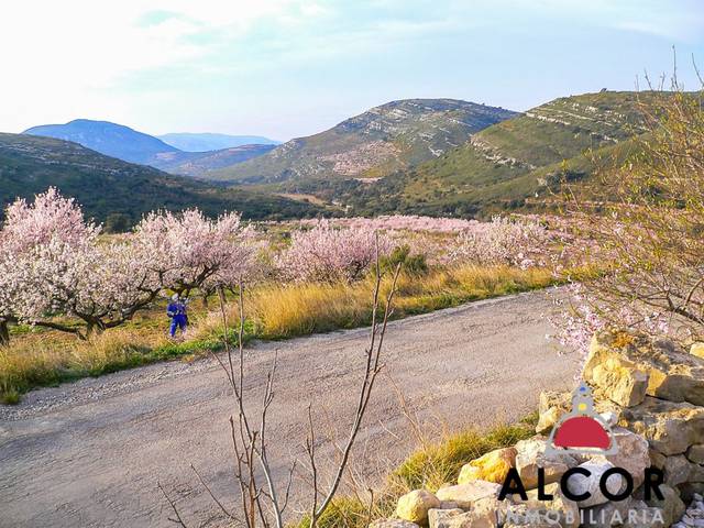 Terreno residencial en Venta en N/A, -1 en Tírig