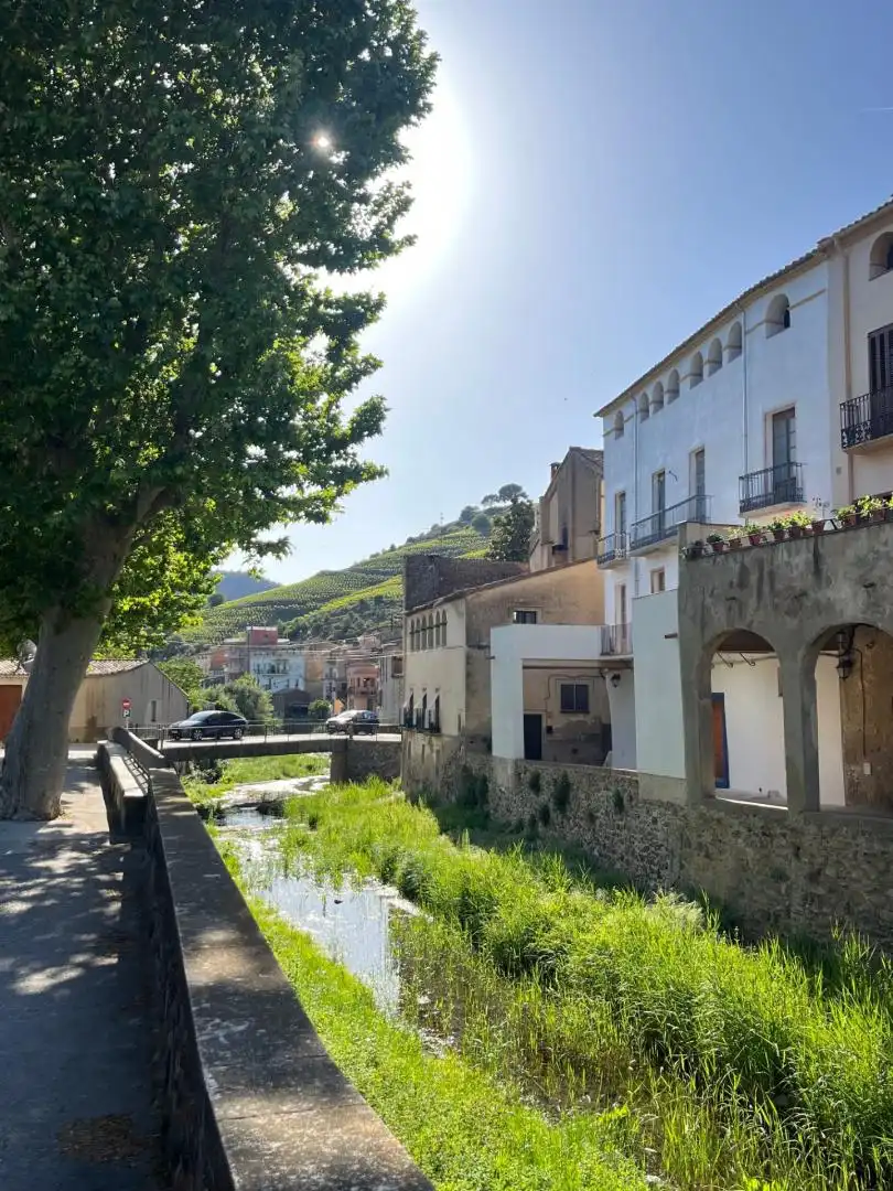 Vista exterior de Casa adosada en venda en Porrera amb Terrassa