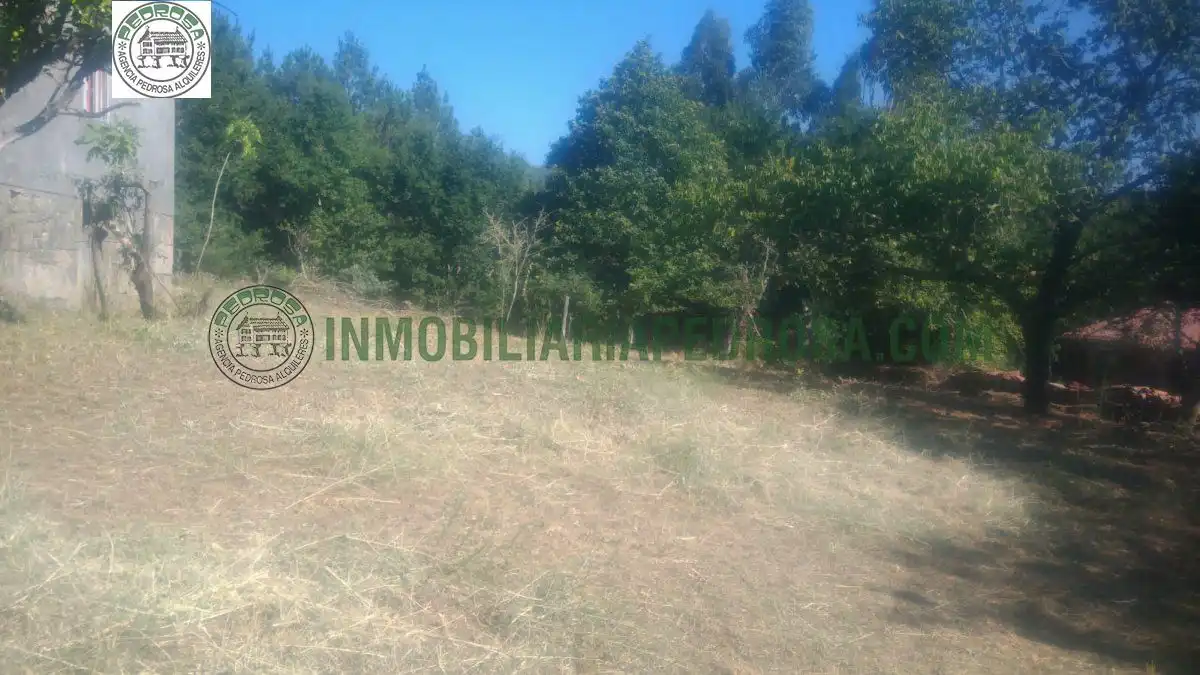 Finca rústica en venta en Campo Lameiro