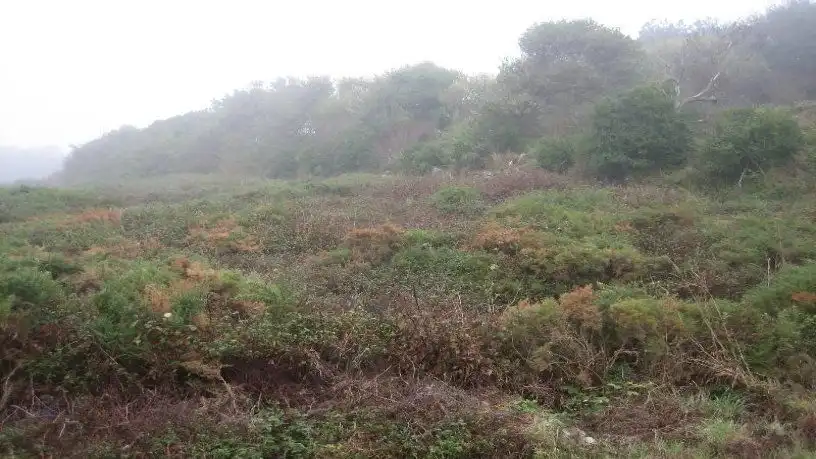 Terreno residencial en venta en Ciudad Escolar - los Rosales