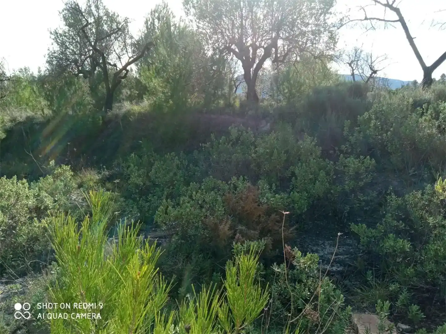 Terreno en venta en Balones
