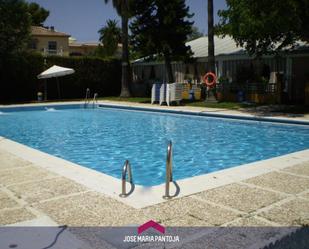 Piscina de Casa o xalet en venda en Jerez de la Frontera amb Jardí privat, Terrassa i Traster