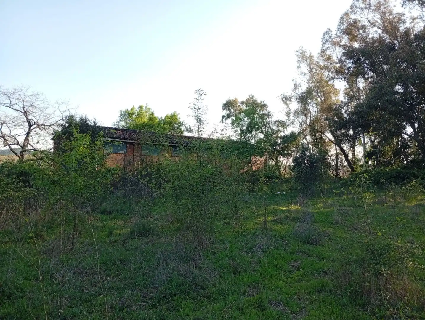 Terreni e lotti in vendita a Villanueva de la Vera, imagen 128