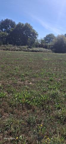 Terreno residencial en Venta en Matela en Outeiro de Rei