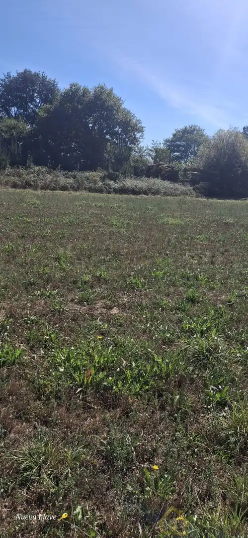 Terreni e lotti in vendita a Matela
