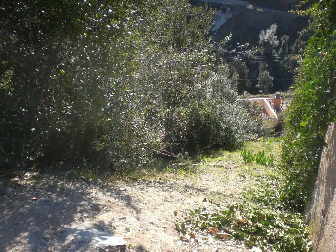 Wohnbaugrundstück zum Verkauf in Corbera de Llobregat, imagen 16