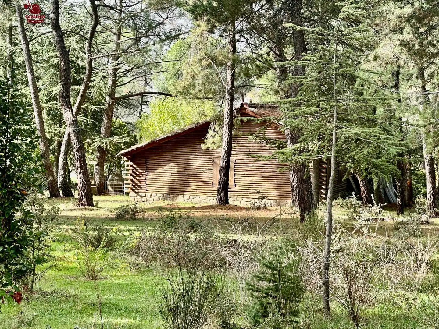 Casa con giardino in vendita a Los Molinos, imagen 14