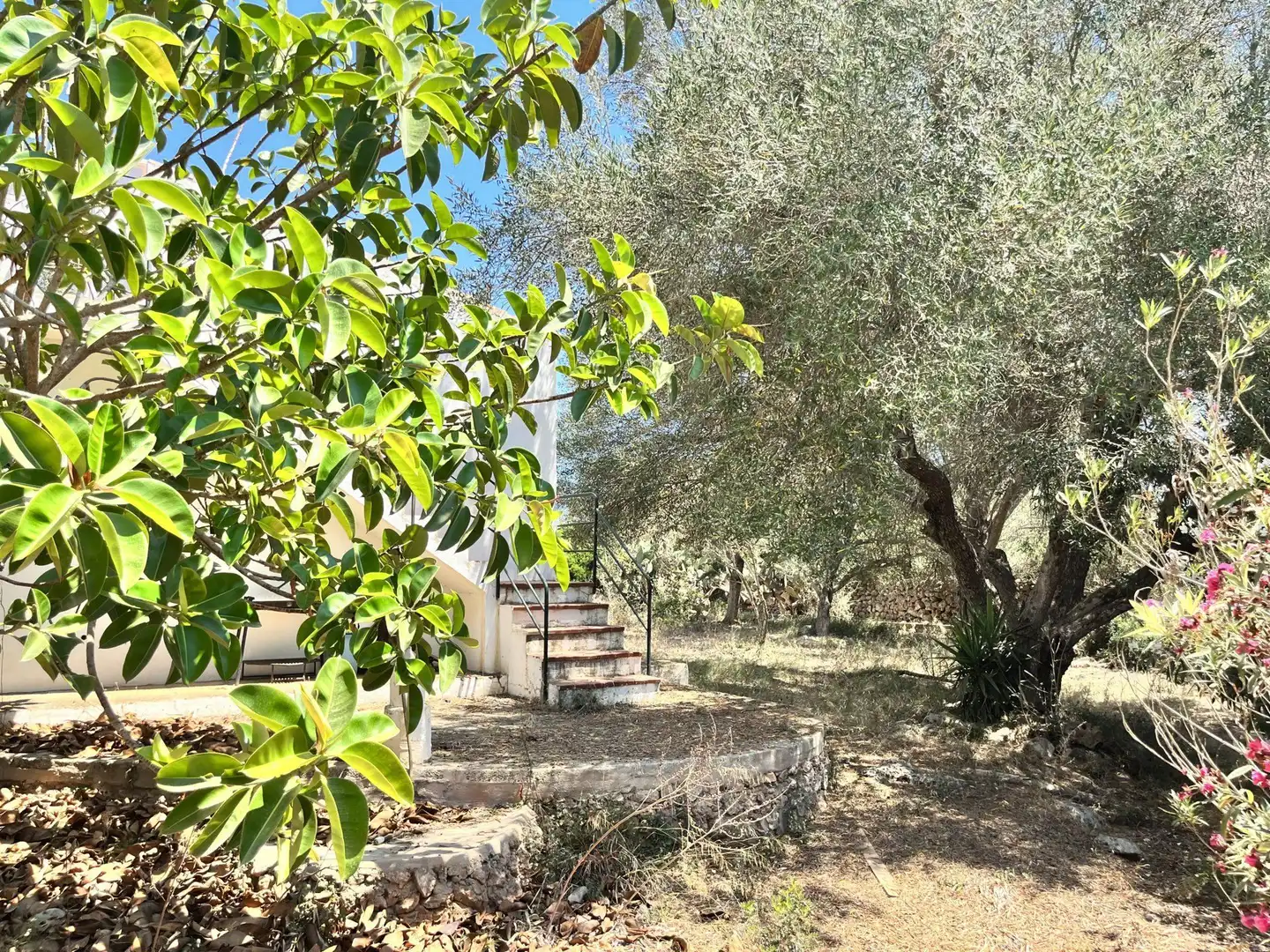 Landhaus mit Pool zum Verkauf in Cala d'en Bosch - Serpentona, imagen 22