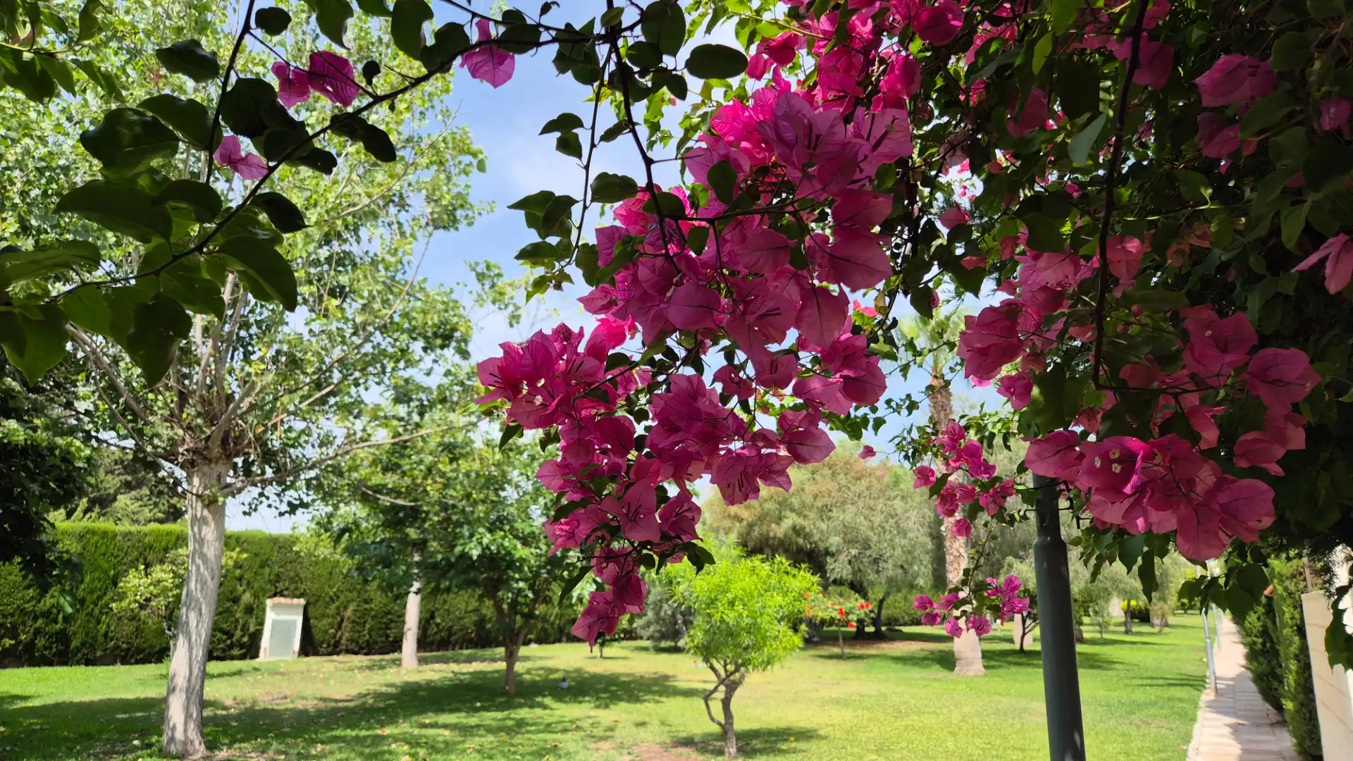 Garden of Detached homes for sale in Elche / Elx  with Air Conditioner, Heating and Terrace